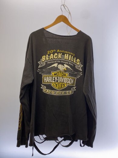 商品画像：90s/鬼フェード/ダメージ/炎/襤褸/長袖Tシャツ/--/コットン/GRY/プリント 2