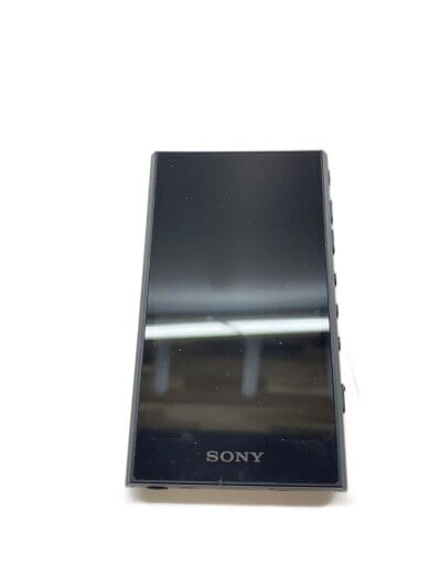 商品画像：ポータブルメモリープレーヤー NW-A306 1