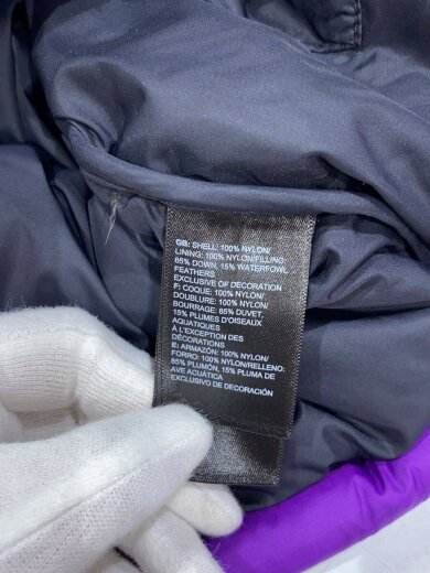 商品画像：ダウンジャケット/S/ナイロン/PUP/NF0A3C8D 4