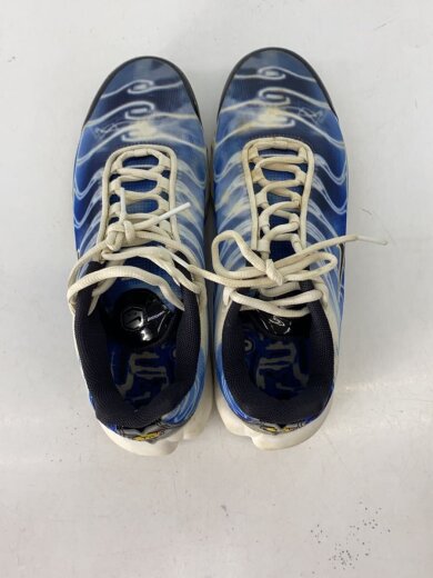 商品画像：AIR MAX PLUS_エアマックス プラス/25cm/BLU 3