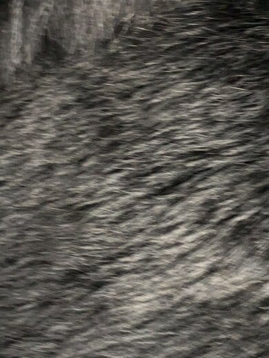 商品画像：ムートンコート/38/羊革/BLK/無地/子羊/ファー 5