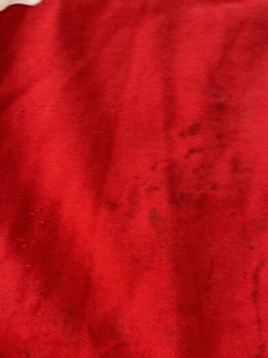 商品画像：スウェット/S/コットン/RED/無地/sm-ys8-0000-033 8