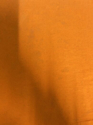 商品画像：90s/日本製/Tシャツ/--/コットン/ORN/プリント 5