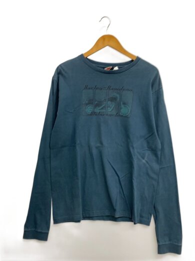 商品画像：00s/USA製/長袖Tシャツ/L/コットン/GRN/プリント// 1