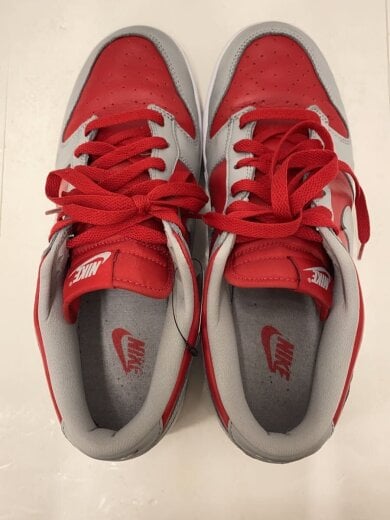 商品画像：DUNK LOW CO.JP_ダンク ロー CO.JP/28cm/GRY 3