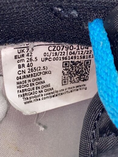 商品画像：AIR JORDAN 1 LOW OG_エア ジョーダン 1 ロー OG/26.5cm/BLU 5