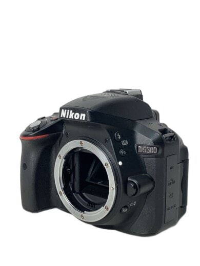 商品画像：デジタル一眼カメラ D5300 ボディ 1