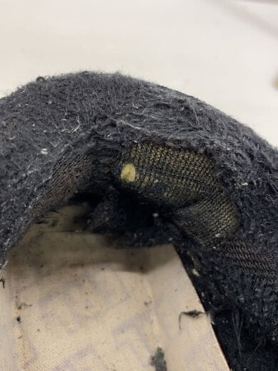 商品画像：ERL/ローカットスニーカー/US7/BLK/スウェード/箱有 8