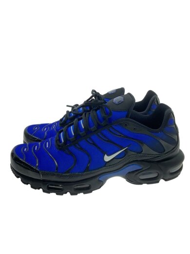 商品画像：AIR MAX PLUS PRM_エア マックス プラス プレミアム/29cm/BLU 1