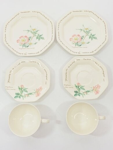 商品画像：カップ&ソーサー/2点セット/WHT// 2