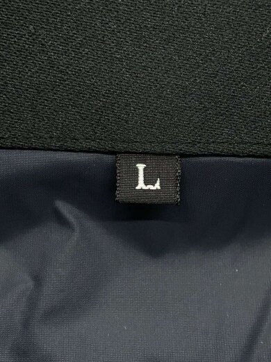 商品画像：MOUNTAIN DOWN JACKET_マウンテンダウンジャケット/L/ナイロン/ベージュ 4