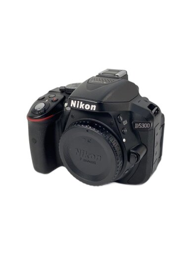 商品画像：デジタル一眼カメラ D5300 AF-P 18-55 VR キット 1