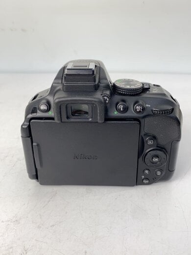 商品画像：デジタル一眼カメラ D5300 AF-P 18-55 VR キット 2