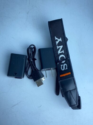 商品画像：デジタル一眼カメラ α6400 ILCE-6400Y ダブルズームレンズキット [ブラック] 9