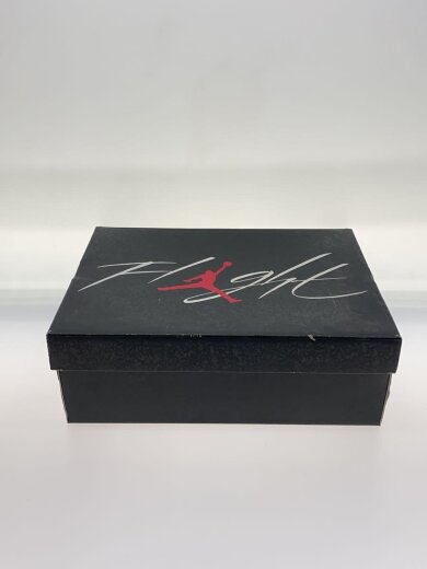 商品画像：AIR JORDAN 4_エアジョーダン4/26.5cm/WHT 6