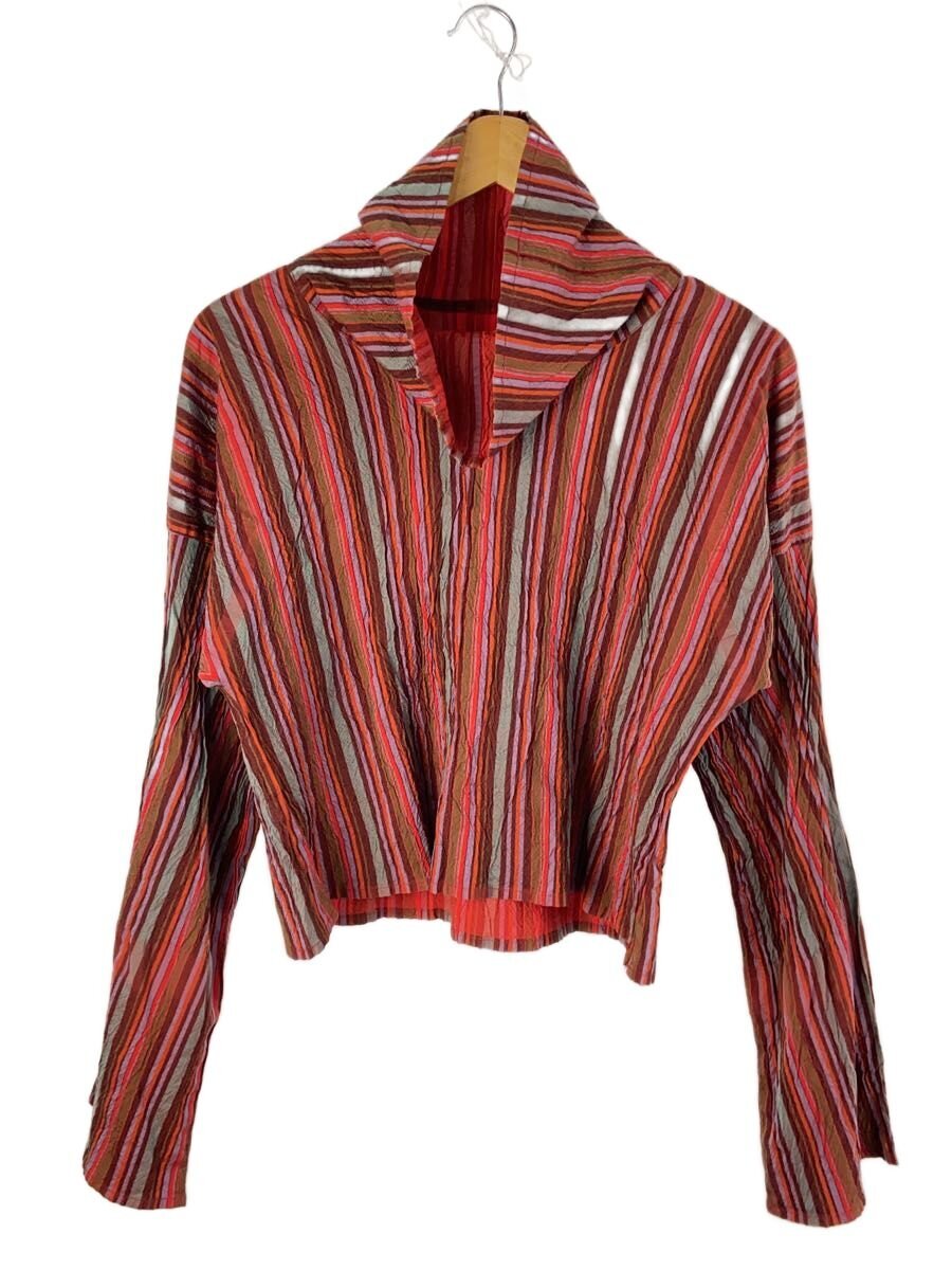 ISSEY MIYAKE / ハイネックショート丈/シワ加工/長袖カットソー/2/コットン/RED/マルチストライプ/AP13FJ193