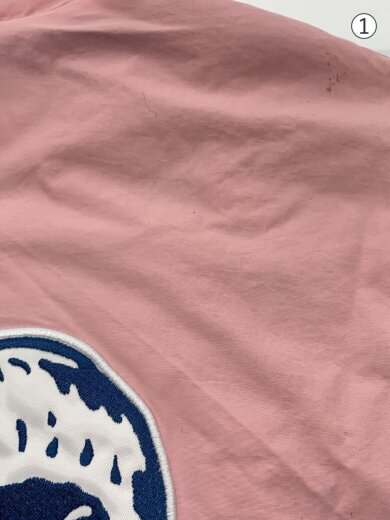 商品画像：24AW/NCAA Hooded Stadium Jacket/ダウンジャケット/M/ナイロン/PNK 6