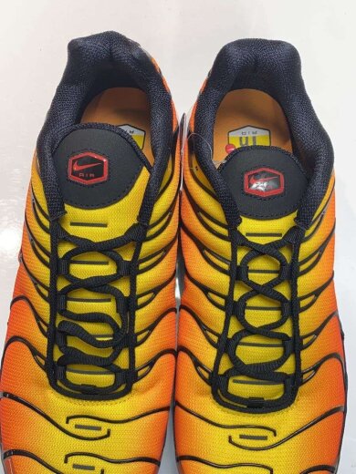 商品画像：AIR MAX PLUS_エア マックス プラス/30cm/ORN 4
