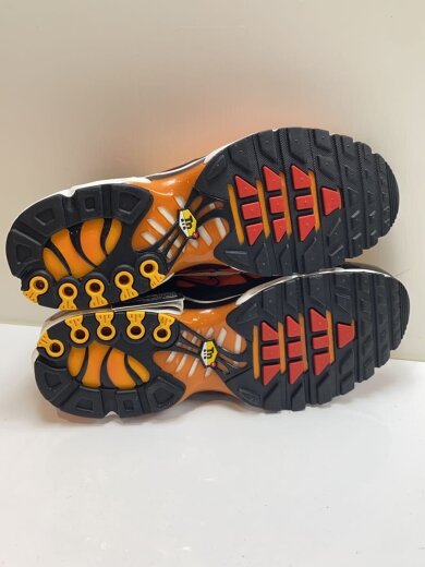商品画像：AIR MAX PLUS_エア マックス プラス/30cm/ORN 6