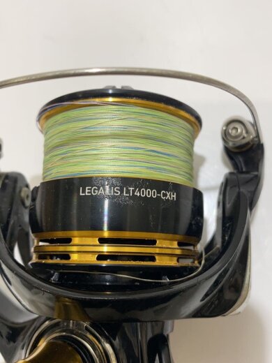 商品画像：00060019 18 レガリス LT4000D-CXH 00060019 6