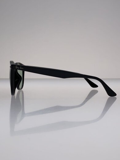 商品画像：サングラス/オーバル/プラスチック/BLK/GRN/メンズ/RB4259-F 3