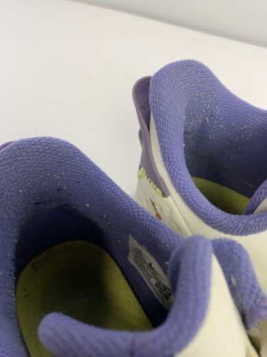 商品画像：LEBRON WITNESS 5_レブロン ウィットネス 5/24.5cm/WHT 9