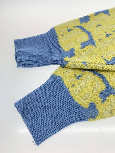 商品画像：ニット・セーター(厚手)/S/コットン/YLW/FTC025SPSW08 5