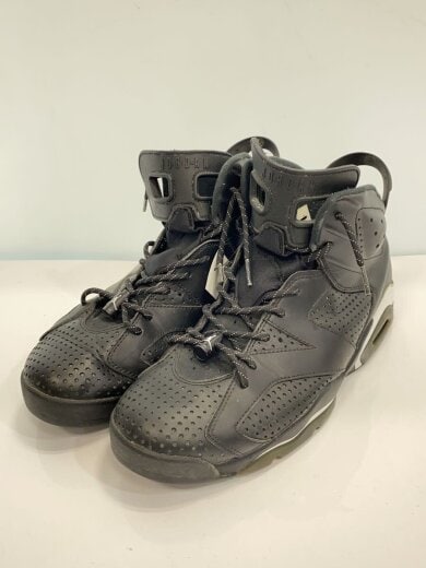 商品画像：AIR JORDAN 6 RETRO/エアジョーダンレトロ/グレー/384664-020/28.5cm/GRY 2
