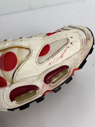 商品画像：AIR MAX TAILWIND IV_エアマックス テイルウィンド 4/30cm/マルチカラー 6