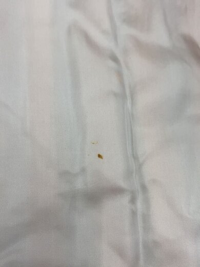 画像：SAGA FOXコート/FREE/ファー/BEG/裏地シミ有/裏地小穴有/フロントにフック2個有//8