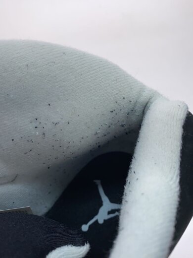 商品画像：AIR JORDAN 5 RETRO_エアジョーダン 5 レトロ/27cm/BLK 6