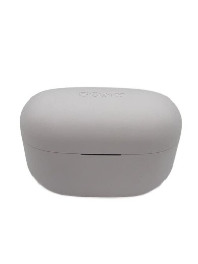 商品画像：イヤホン・ヘッドホン LinkBuds S WF-LS900N (W) [ホワイト] 1