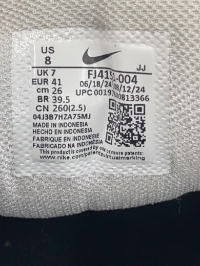 商品画像：ZOOM VOMERO 5_ズーム ボメロ 5/26cm/SLV// 5