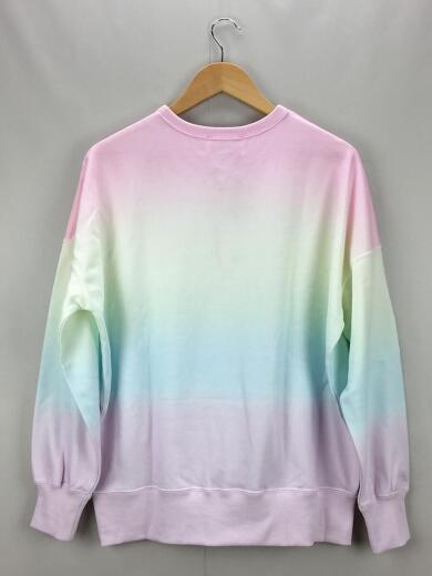 画像：Radyスウェット/S/ポリエステル/MR3074-ML-S/ホテルシリーズ/レインボートレーナー2