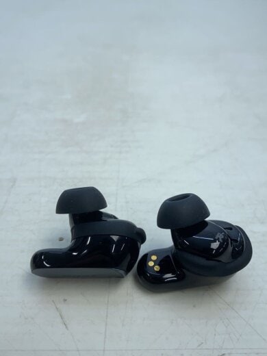 商品画像：イヤホン QuietComfort Ultra Earbuds 2