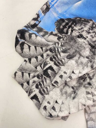 商品画像：Tシャツ/L/コットン/マルチカラー// 6