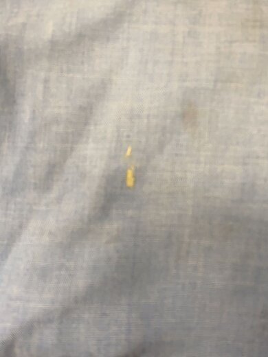 商品画像：長袖シャツ/--/コットン/BLU/無地 7