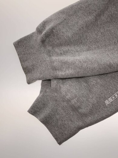 商品画像：25fw box logo hooded sweatshirt/パーカー/XXL/コットン/GRY 6