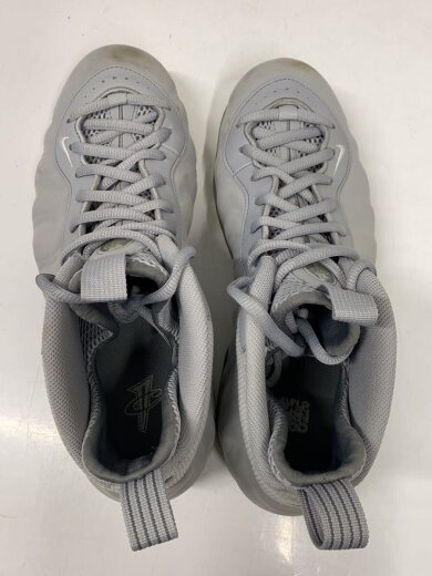 商品画像：AIR FOAMPOSITE ONE PRM/エアフォームポジットワンプレミアム/グレー/575420-007/ 3