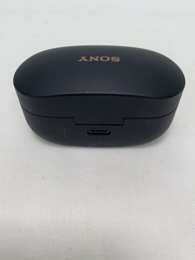 商品画像：イヤホン・ヘッドホン WF-1000XM4 (B) [ブラック]// 2