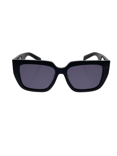 商品画像：サングラス/ウェリントン/BLK/メンズ/VPRA03-F// 1