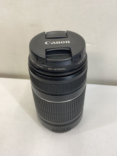 商品画像：レンズ/EFSー55-250 2