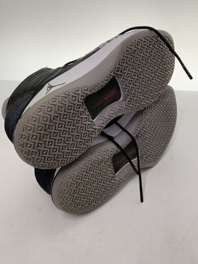 商品画像：AIR JORDAN XXXII PF/エアジョーダン/グレー/AH3348-002/28cm/GRY 4