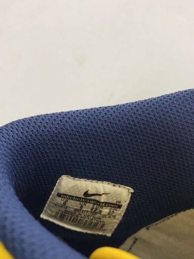 商品画像：DUNK RETRO QS/ダンクレトロ/イエロー/850477-700/27cm/YLW 5