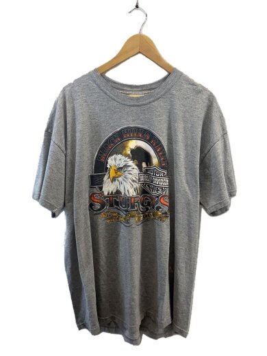 商品画像：00s/sturgis/USA製/Tシャツ/XL/--/GRY/無地 1