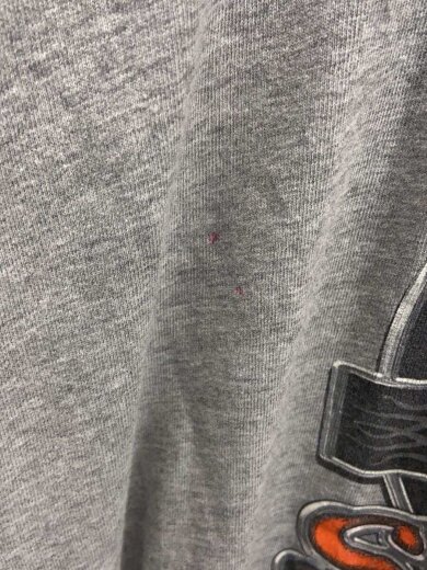 商品画像：00s/sturgis/USA製/Tシャツ/XL/--/GRY/無地 8