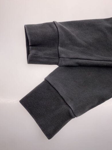 商品画像：スウェット/L/コットン/GRY/c10-tr-2505st// 5