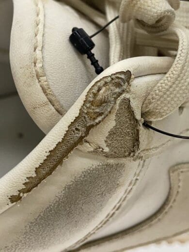 商品画像：AIR FORCE 1 07 FRESH_エアフォース 1 07 フレッシュ/25.5cm/WHT// 6