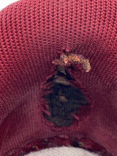 商品画像：ローカットスニーカー/25cm/WHT/DQ7582-100 6