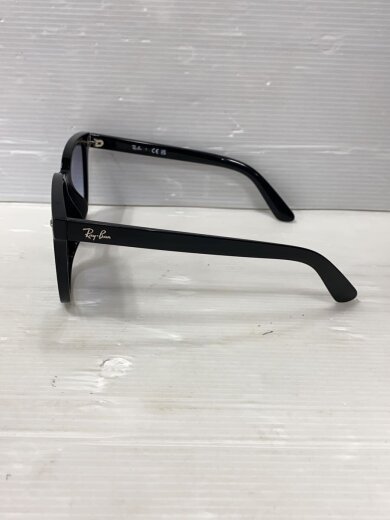 商品画像：サングラス/ウェリントン/プラスチック/BLK/BLU/メンズ/RB 4401D 3